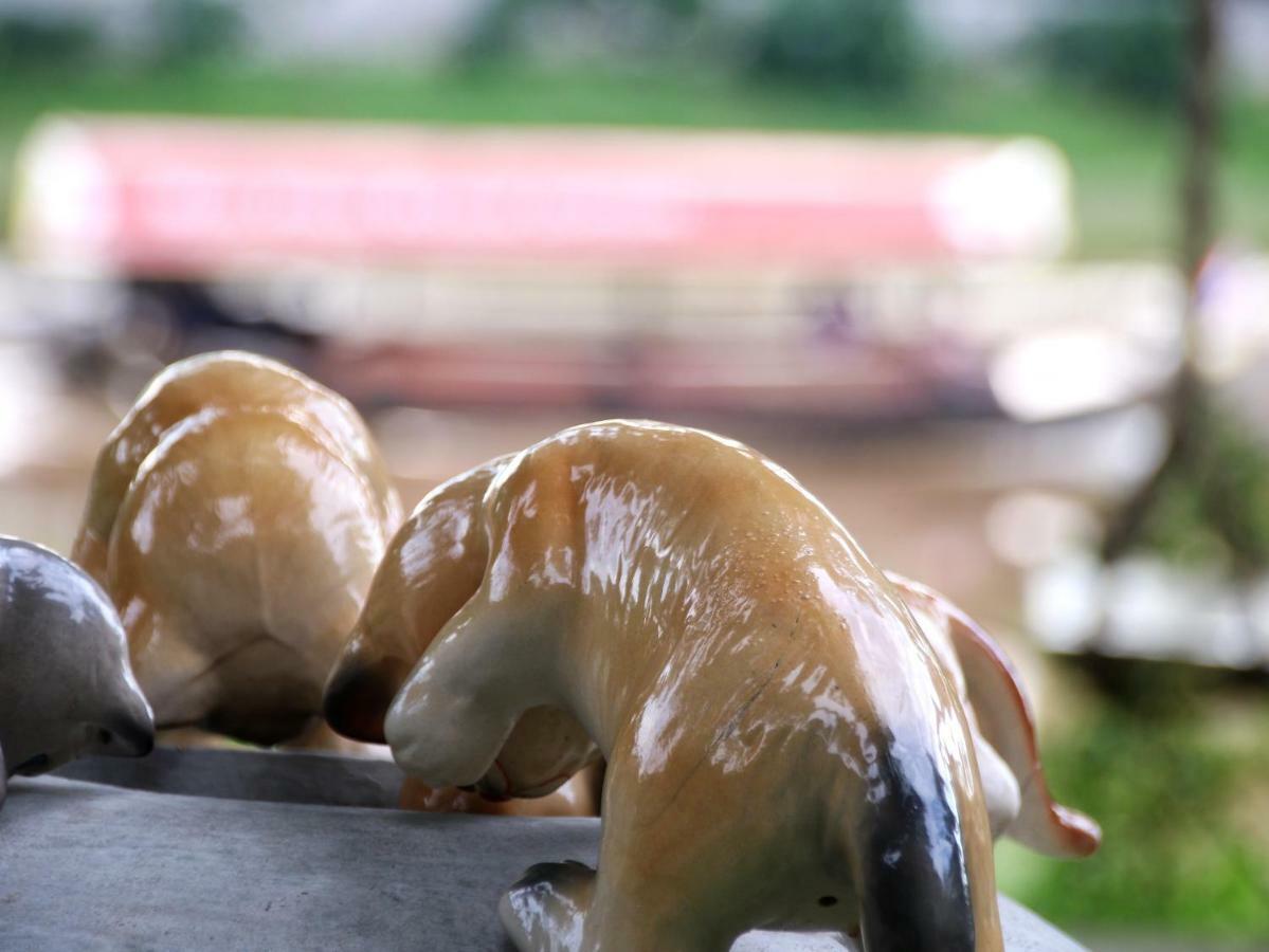 I-River Chiangmai Čiang Mai Exteriér fotografie